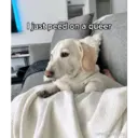 Çıkartma