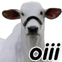 Çıkartma