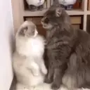 ملصق