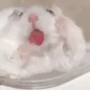 ملصق