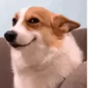 ملصق