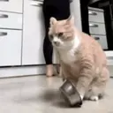 ملصق