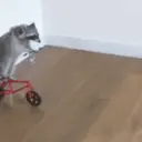 ملصق