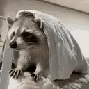 ملصق