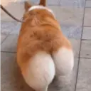 ملصق