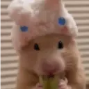 ملصق