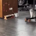 ملصق