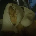 ملصق