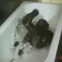 ملصق