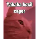 Стикер