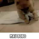 ملصق
