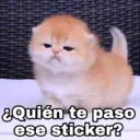 ملصق