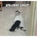 Çıkartma