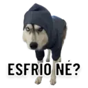 Çıkartma