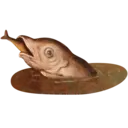 Çıkartma