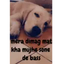 ملصق
