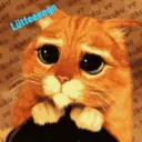 ملصق