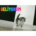 ملصق