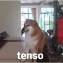 ملصق