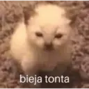 Çıkartma
