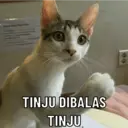 Çıkartma