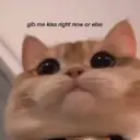 ملصق