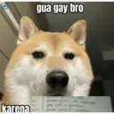 Çıkartma
