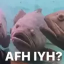 ملصق
