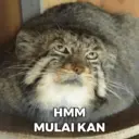 Çıkartma