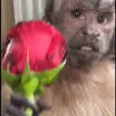 ملصق