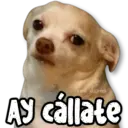 ملصق
