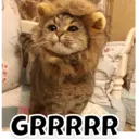 ملصق