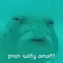 ملصق