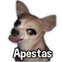 ملصق