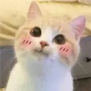 Çıkartma