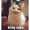 Çıkartma