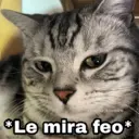 Çıkartma