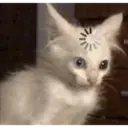 ملصق