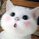 ملصق