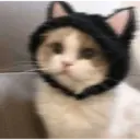 ملصق