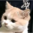 ملصق