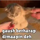 Çıkartma