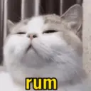 Çıkartma