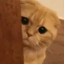 Çıkartma