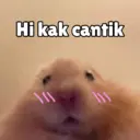 Çıkartma