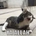 ملصق