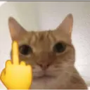 ملصق