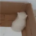 ملصق