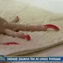 Çıkartma