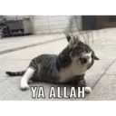 Çıkartma